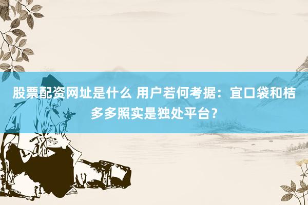 股票配资网址是什么 用户若何考据：宜口袋和桔多多照实是独处平台？