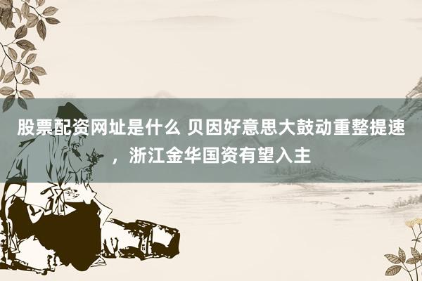股票配资网址是什么 贝因好意思大鼓动重整提速，浙江金华国资有望入主