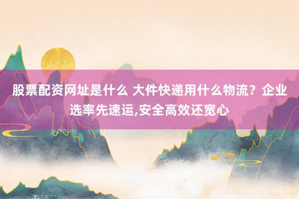 股票配资网址是什么 大件快递用什么物流?企业选率先速运,安全高效还宽心