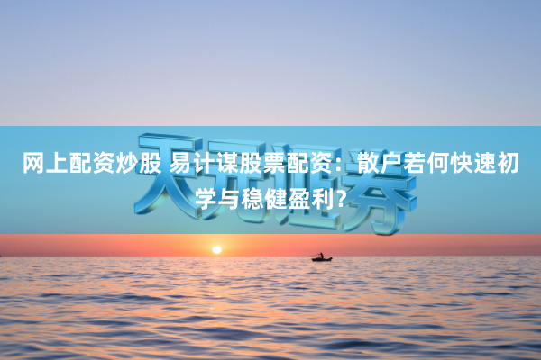 网上配资炒股 易计谋股票配资：散户若何快速初学与稳健盈利？