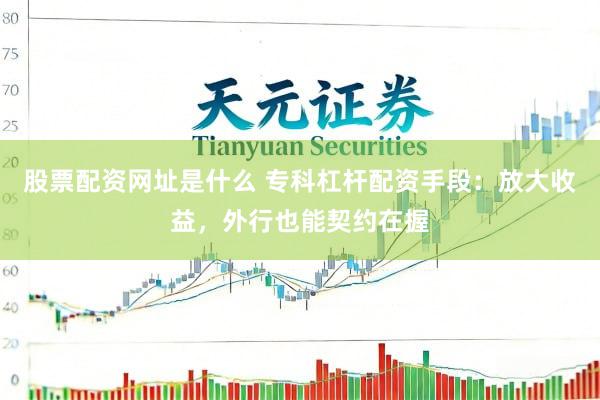 股票配资网址是什么 专科杠杆配资手段：放大收益，外行也能契约在握