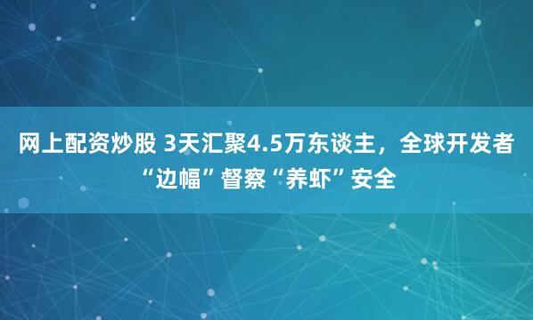 网上配资炒股 3天汇聚4.5万东谈主，全球开发者“边幅”督察“养虾”安全